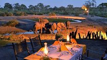 South Africa - 5 Day Garden Route & Addo Adventure & Accommadation 