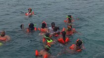 JAMAICA SPECIAL: Rum Tour Safari Pelican Bar BoatParty Rick'sCafe