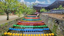 Suncheon one day tour from Seoul, Busan or Suncheon