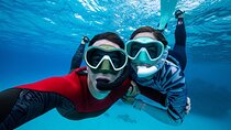 Snorkel Rental 24h, discover Tenerifes Ocean on your own!