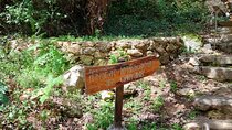 Half-Day Private Walking Tour along the Orthodox Gorge