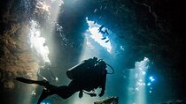 2 Tank Lanai Cathedral Scuba Dive Via Boat for Certified Divers