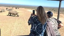 West Coast Safari and Khoi San village COMBO - PRIVATE TOUR