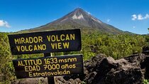 All Day Family Tour: Arenal Excursion with Hot Springs (PRIVATE)