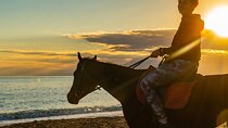 Antalya Horse Riding On Beach And Through The Forests For 2 Hours