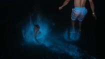 Private Luminous Lagoon Tour from Montego Bay
