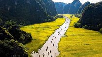 Ninh Binh: Hoa Lu - Tam Coc - Cycling 1 day trip