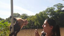 Palo verde river cruise, sugarcane liquor and cultural combo tour.