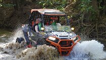 Beach-mountain & Sloth Refuge Buggy Tour