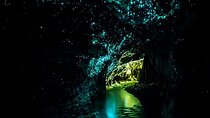 Waitomo Glowworm Cave Day Trip Private Transport From Auckland 
