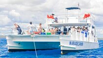 Full Day Snorkeling in Catalina Island with Transportation and Lunch