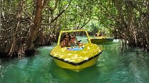Mangrove Jungle Speedboat Experience