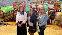 Private Tour to Ciudad Universitaria, Coyoacán and Xochimilco
