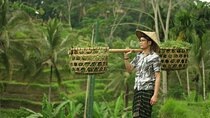 Private Tour : Best of Ubud and Tanah Lot Temple with All inclusive