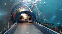 Cebu Ocean Park