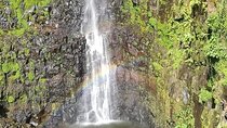 Mbokomu WATERFALL and TALLEST TREE IN AFRICA