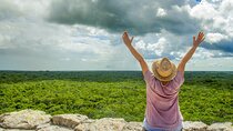 Coba Guided Tour and Snorkeling with Turtles Experience in Akumal