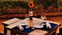 All-Inclusive Private Wine Tour in Baja