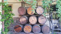 A Lovely Wine Tour to Frascati from Rome