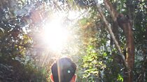 Private 4 hour Hiking Adventure + Breakfast in Nogalito Ecopark