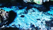 Kuza Cave, Mnemba Island, Secret Garden, Spice Tour, Salaam Cave