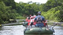 Private Sloth Encounter Waterfall And Corobici Floating Tour