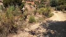 Private Collserola Hills Wildlife Hiking Tour