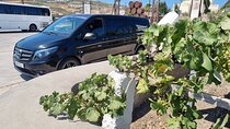 Santorini's "Wine Roads": Wine Tasting Tour at 3 Wineries