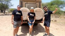 8 Days Private Tanzania Bush and Beach Family Safari