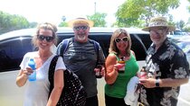 Private Transport: Montego Bay Airport to Grand Palladium