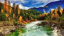 Private Guided Luxury Tour to Dharamshala from Delhi (with Flights)