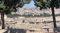 In The Footsteps of Jesus Day Tour - Dguide Self Guiding App