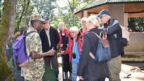 3 Days Bwindi Gorilla Trekking with a Domestic Flight