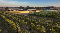 Helicopter Winery Lunch to Hubert Estate in Yarra Valley