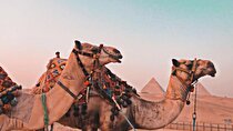 Full-Day Private Tour Giza Pyramids, Saqqara and Dahshur