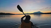 Mangrove Kayaking Experience in Borneo