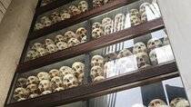 Half-Day Tour of the Killing Field and S21 