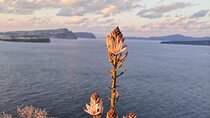 Private Sunset Inland Fishing Tour in Vlychada