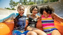 Walt Disney World Orlando Water Park Tickets