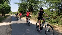8-Days Golden Triangle on Bicycle - Premium Private Tour