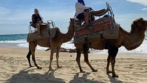Camel Adventure & Tequila tasting on the Pacific Ocean 