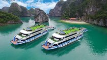 La Casta Cruise - Luxury Day Tour in Halong Bay (Expressway- Limousine)