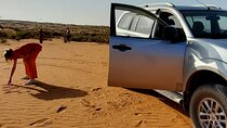 Sahara Day Trip from Agadir