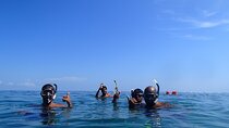 Full Day Cahuita Snorkel And Sloth Sanctuary from Puerto Viejo de Limón
