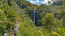 Private - All Inclusive Big Island Circle Tour