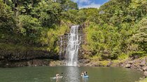 Private - All Inclusive Big Island Waterfalls Tour
