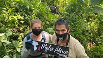 6 Days Mgahinga Hiking Safari In Uganda
