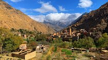 Full-day trip to the Atlas Mountains of Morocco and Camel ride