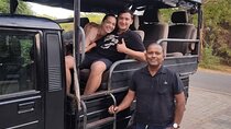 Explore The Beauty Of Udawalawe National Park From South Coast During 01 Day