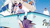 4 Hours Luxury Fishing Adventure